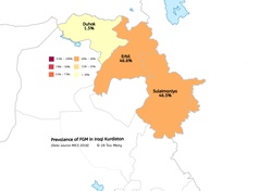 Prevalence Map: FGM in Iraqi Kurdistan (2018, English)